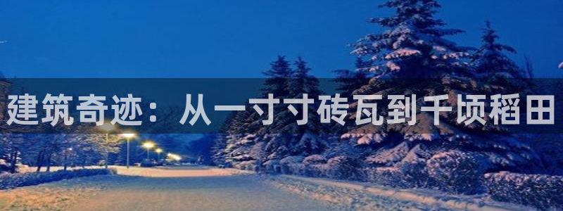 安信可esp-12：建筑奇迹：从一寸寸砖瓦到千顷稻田