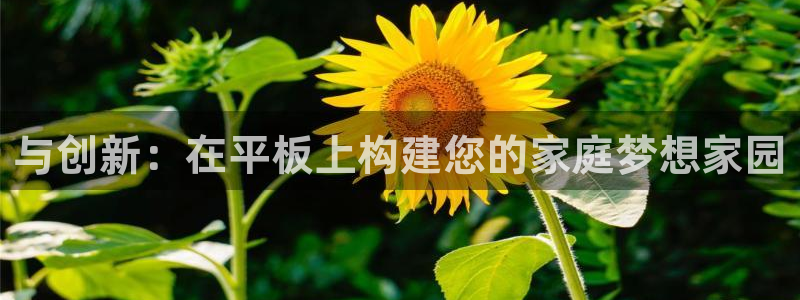 安信4娱乐去55 12：与创新：在平板上构建您的家庭梦想家园