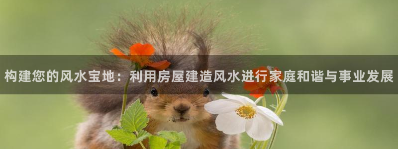 安信12彩票app下载：构建您的风水宝地：利用房屋建造风水进行家庭和谐与事业发展