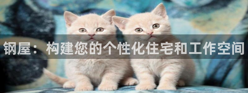 安信可12e12f：钢屋：构建您的个性化住宅和工作空间