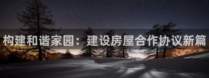 安信安翼 12账号：构建和谐家园：建设房屋合作协议新篇