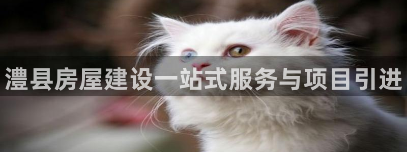 安立信T12测评：澧县房屋建设一站式服务与项目引进