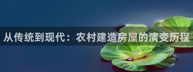 安信12娱乐注册：从传统到现代：农村建造房屋的演变历程