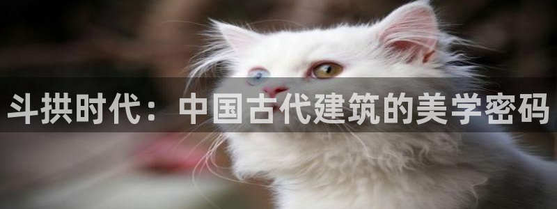 安信12app下载：斗拱时代：中国古代建筑的美学密码