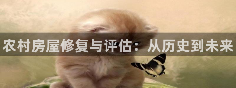 安立信12改装：农村房屋修复与评估：从历史到未来