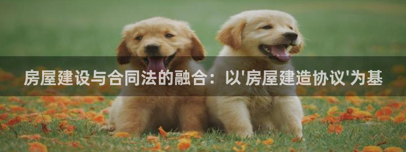 安信12级：房屋建设与合同法的融合：以\'房屋建造协议\'为基