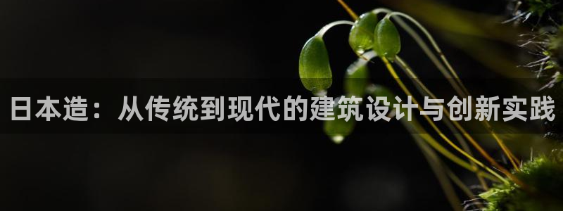 安信招商rk金12手12指jc：日本造：从传统到现代的建筑设计与创新实践