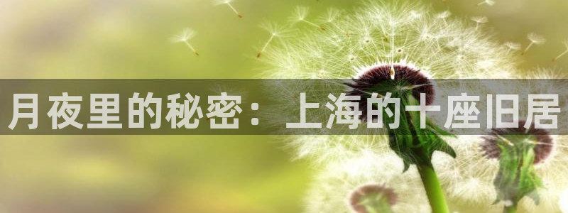 安信12娱乐招商：月夜里的秘密：上海的十座旧居