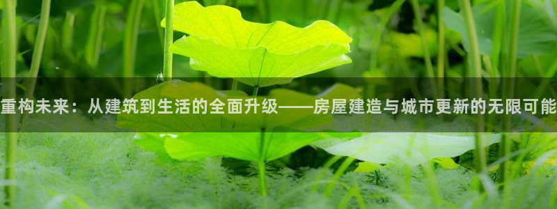 信安12乐打棒：重构未来：从建筑到生活的全面升级——房屋建造与城市更新的无限可能