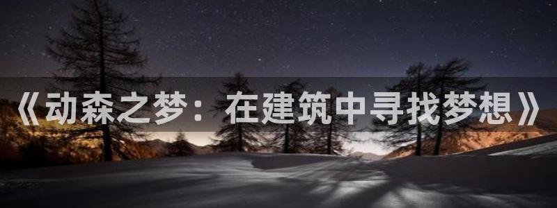 安信12专用挂机：《动森之梦：在建筑中寻找梦想》