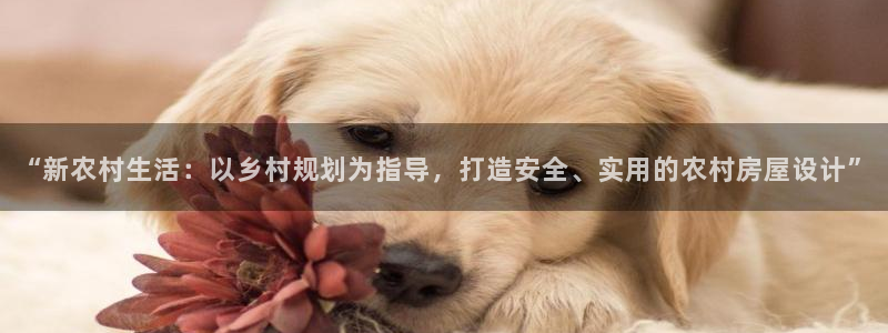 安信12平台的网址：“新农村生活：以乡村规划为指导，打造安全、实用的农村房屋设计