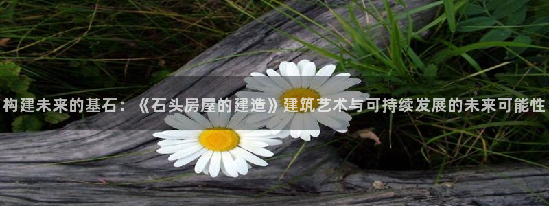 安信锐赢134号12月：构建未来的基石：《石头房屋的建造》建筑艺术与可持续发展的未来可能性